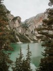 Lago di montagna in conifere — Foto stock