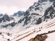 Menschen gehen auf schneebedecktem Hang — Stockfoto