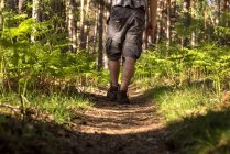 Человек приключений в лесу — стоковое фото