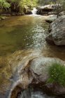 Hidden mistérios cachoeira na floresta — Fotografia de Stock