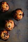 Muffins au chocolat, vue rapprochée — Photo de stock