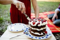 Woman slicing cake on picnic — Stock Photo