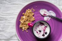 Йогурт з ягодами в чашці — стокове фото