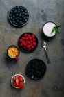Ягоди, йогурт і зернові — стокове фото