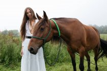 Girl in white dress stroking a brown horse. — Stock Photo