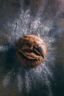 Rolo de pão rústico em escuro — Fotografia de Stock