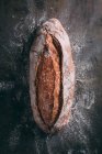 Rustic bread loaf on dark — Stock Photo