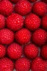Macro shot of raspberries — Stock Photo