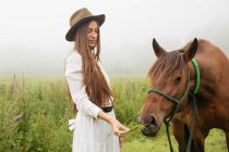 Mädchen im weißen Kleid füttert braunes Pferd auf Feld — Stockfoto