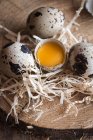 Huevos crudos codornices - foto de stock