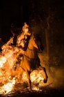 Vista frontal do cavalo cavalgando através da fogueira em ritual de purificação — Fotografia de Stock