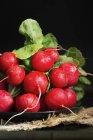 Bunch of fresh radishes — Stock Photo