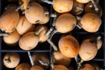 Fruits frais du loquat — Photo de stock