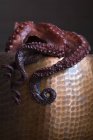 Gekochter Oktopus in einer Pfanne — Stockfoto
