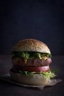 Вкусный бургер для гурманов — стоковое фото