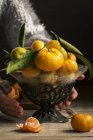 Femme cueillant un bol de fruits avec des mandarines — Photo de stock