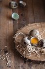 Quail raw eggs — Stock Photo