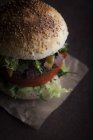 Delicious gourmet burger — Stock Photo