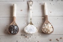Різні типи продуктів харчування грубої солі — стокове фото