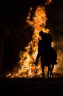 Silhueta de cavaleiro a cavalo no fundo de chamas de fogo — Fotografia de Stock