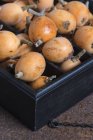 Fruits frais du loquat — Photo de stock