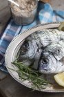 Two fresh fish with lemon and rosemary — Stock Photo