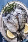 Two fresh fish with lemon and rosemary — Stock Photo
