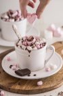 Xícara de chocolate quente e marshmallows — Fotografia de Stock