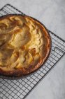 Смачний яблучний пиріг — стокове фото