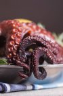 Gekochter Oktopus im Teller serviert — Stockfoto