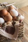 Différents types d'œufs crus — Photo de stock