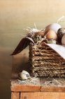 Різні види сирих яєць — стокове фото