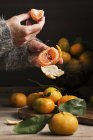 Mulher descascando e comer tangerina fresca — Fotografia de Stock