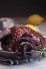 Вареный осьминог подается в тарелке — стоковое фото