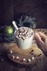 Xícara de chocolate quente e marshmallows — Fotografia de Stock
