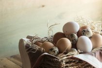 Verschiedene Arten von rohen Eiern — Stockfoto