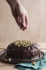 Подготовка шоколадного торта с фисташками — стоковое фото