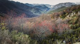 Paesaggio della valle di montagna — Foto stock