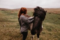 Женщина гладит лошадь на пастбище — стоковое фото