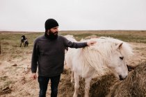 Homem acariciando icelandic cavalo selvagem — Fotografia de Stock