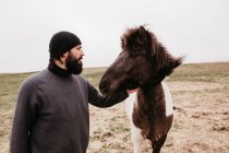 Uomo accarezzando icelandic cavallo selvatico — Foto stock