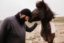 Mann streift isländisches Wildpferd — Stockfoto