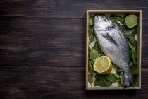 Vista piatta di pesce fresco crudo con foglie di lime e basilico su piatto di legno — Foto stock