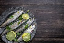 Vue de dessus des sardines crues avec tranches de chaux et persil sur plaque métallique — Photo de stock