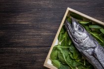 Vista piatta di pesce fresco crudo con foglie di basilico su piatto di legno — Foto stock