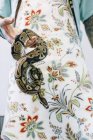 Tatuaggio maestro vestito in grembiule tenendo grande serpente . — Foto stock