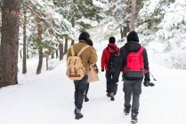 Group of people with backpack in forest — Stock Photo