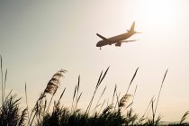 Avion volant dans un ciel ensoleillé au-dessus d'un champ herbeux . — Photo de stock