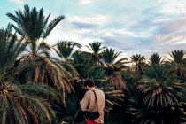 Человек в сушеных пальмах — стоковое фото