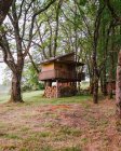 Маленький будинок у лісі — стокове фото